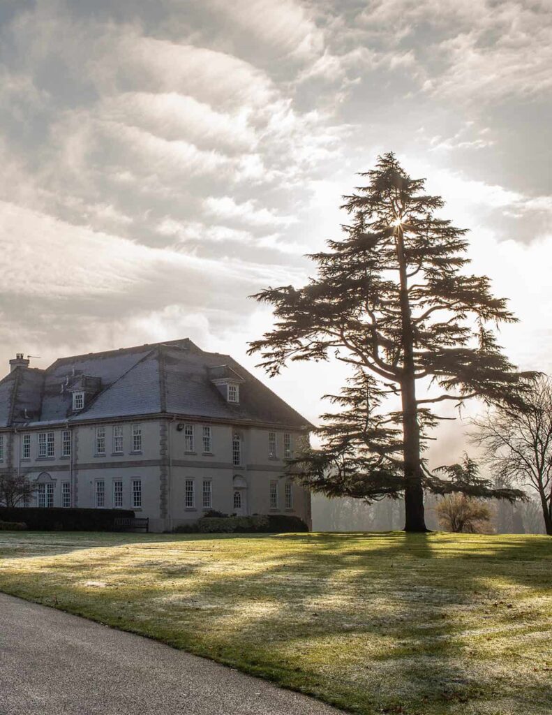 Brockencote Hall Hotel expansive lawn next to a large tree at sunrise